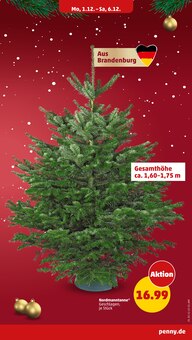 Energydrink im Penny Prospekt "Wer günstig will, muss Penny." mit 54 Seiten (Neubrandenburg)