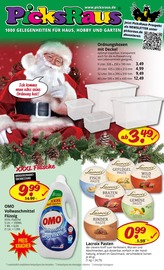 Aktueller Picks-Raus Sonderposten Prospekt in Blieskastel und Umgebung, "1000 GELEGENHEITEN FÜR HAUS, HOBBY UND GARTEN" mit 8 Seiten, 08.12.2025 - 13.12.2025