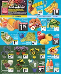 EDEKA Gartenpflanzen im Prospekt EDEKA Gartenpflanzen im Prospekt