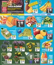 Aktueller EDEKA Prospekt mit Lebensmittel, "DAS BESTE DER WOCHE", Seite 2