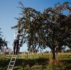 Bioland Apfelsaft von Bioland im aktuellen Kaufland Prospekt für 1,99 €