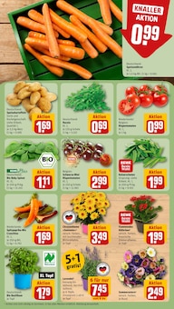 Salat im REWE Prospekt "Dein Markt" mit 31 Seiten (Hamburg)