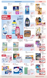 Softlan im Rossmann Prospekt in Essen Aktueller Rossmann Prospekt mit Softlan, "Mein Drogeriemarkt", Seite 17