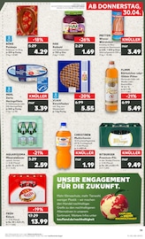 Aktueller Kaufland Prospekt mit Kölsch, "Aktuelle Angebote", Seite 19