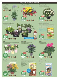 Blumenerde im V-Markt Prospekt "V-Markt einfach besser einkaufen" mit 26 Seiten (Augsburg)