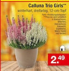 Calluna Trio Girls bei Zimmermann im Prospekt  für 2,49 €