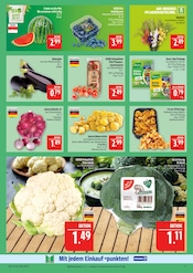 Blumenzwiebeln im Marktkauf Prospekt in Hof Aktueller Marktkauf Prospekt mit Blumenzwiebeln, "AUSWAHL RIESIG, PREISE NIEDRIG", Seite 9