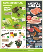 Zimmerpflanzen im Marktkauf Prospekt in Münster Aktueller Marktkauf Prospekt mit Zimmerpflanzen, "Aktuelle Angebote", Seite 3