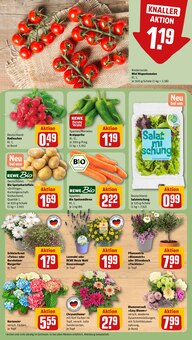 Kartoffeln im aktuellen REWE Prospekt (Mönchengladbach) Kartoffeln im REWE Prospekt "Dein Markt" mit 30 Seiten (Mönchengladbach)
