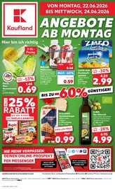 Kaufland Plauen Prospekt der aktuellen Woche, gültig von 22.06.2026 bis 24.06.2026 Aktueller Kaufland Plauen Prospekt "Hier bin ich richtig" mit 67 Seiten