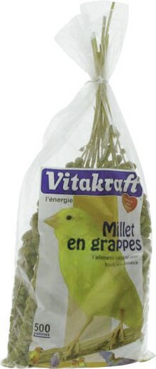 Géant Casino Nice - Millet en grappes pour oiseaux Promo Millet en grappes pour oiseaux dans le catalogue Géant Casino Priorité aux promos à Nice