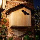 Abri chauve-souris à 4,99 € dans le catalogue B&M