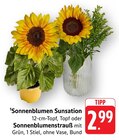 Aktuelle Blumen Angebote bei E center in Trier Aktuelles Sonnenblumen Sunsation Angebot bei E center in Trier ab 2,99 €