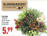 TULPEN Angebote von Roccoco bei Marktkauf Ahlen für 5,99 €