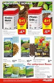 Aktueller Hellweg Prospekt mit Rasendünger, "Die Profi-Baumärkte", Seite 23