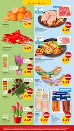 Penny Blumen im Prospekt 