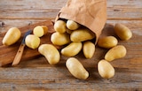 REWE Niederstotzingen - Spargel-Kartoffeln Angebot im Prospekt Spargel-Kartoffeln bei REWE im Niederstotzingen Prospekt für 1,79 €
