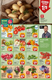 Ähnliche Bonsai Angebote im Prospekt "Dein Markt" von REWE in Ingolstadt Ähnliche Angebote wie Bonsai im Prospekt "Dein Markt" auf Seite 11 von REWE in Ingolstadt
