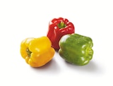Paprika-Mix im Angebot bei Lidl in Norderstedt Paprika-Mix Angebote bei Lidl Norderstedt für 1,59 €