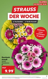 Blumen im Kaufland Prospekt in Solingen Aktueller Kaufland Prospekt mit Blumen, "KNÜLLER", Seite 10