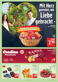 Nektarinen im aktuellen Marktkauf Prospekt (Leipzig) Nektarinen im Marktkauf Prospekt "AUSWAHL RIESIG, PREISE NIEDRIG" mit 44 Seiten (Leipzig)