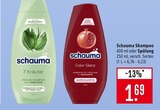7 Kräuter Frische-Shampoo im Angebot bei Marktkauf in Heilbronn 7 Kräuter Frische-Shampoo Angebote von Schauma bei Marktkauf Heilbronn für 1,69 €