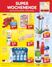 Pralinen im Netto Marken-Discount Prospekt in Niederkassel Aktueller Netto Marken-Discount Prospekt mit Pralinen, "Aktuelle Angebote", Seite 49