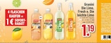 Fresh Leichte Schorle Pfirsich im Angebot bei Trinkgut in Hagen Fresh Leichte Schorle Pfirsich Angebote von Granini bei Trinkgut Hagen für 1,19 €