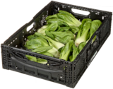 Mini Pak Choi für 1,53 € bei METRO im Angebot Mini Pak Choi im aktuellen METRO Prospekt