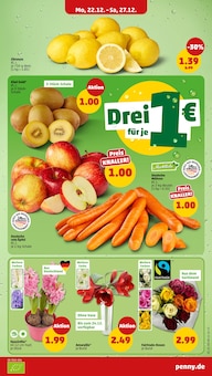 Pflanzen im Penny Prospekt "Wer günstig will, muss Penny." mit 42 Seiten (Jena)