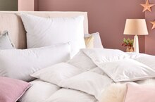 3-KAMMER-KOPFKISSEN „Royal“ oder KASSETTENDECKE „Royal“ bei Höffner in Hamburg 3-KAMMER-KOPFKISSEN „Royal“ oder KASSETTENDECKE „Royal“ im Angebot bei Höffner Hamburg für 39,00 €
