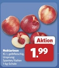combi - Nektarinen Angebot im Prospekt Nektarinen bei combi im Prospekt "" für 1,99 €