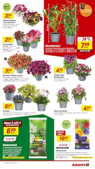 Blumenerde im toom Baumarkt Prospekt "Respekt, wer's selber macht." mit 26 Seiten (Mannheim)