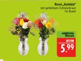 Rosen 'Harlekin' Angebote bei Marktkauf Leipzig für 5,99 €