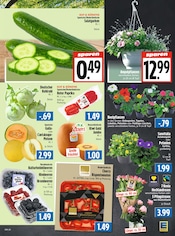 Farbe im EDEKA Prospekt in Gießen Aktueller EDEKA Prospekt mit Farbe, "Aktuelle Angebote", Seite 5