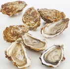 Huître fine de cancale n° 3 en promo à 7,99 € chez Supermarchés Match Huître fine de cancale n° 3 dans le catalogue Supermarchés Match