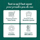 BOTANIC®-Mandarinier Bio. Le pot de 6 litres - Botanic BOTANIC®-Mandarinier Bio. Le pot de 6 litres à 73,99 € dans le catalogue Botanic