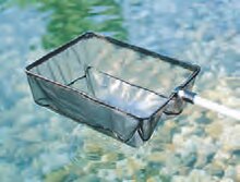 BAUHAUS Bergisch Gladbach - Algenkescher Algenkescher Angebot bei BAUHAUS Bergisch Gladbach im Prospekt "Wasser im Garten"