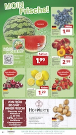 Erdbeeren im famila Nordwest Prospekt in Wilhelmshaven Aktueller famila Nordwest Prospekt mit Erdbeeren, "Markt - Angebote", Seite 4
