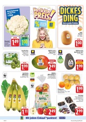 Kiwi im EDEKA Prospekt in Erlangen Aktueller EDEKA Prospekt mit Kiwi, "Wir lieben Lebensmittel!", Seite 12