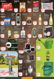 Lichterkette im GLOBUS Prospekt in Leipzig Aktueller GLOBUS Prospekt mit Lichterkette, "Aktuelle Angebote", Seite 9