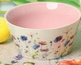 Schale  im aktuellen Netto mit dem Scottie Prospekt für 2,99 €