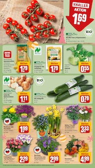 Mais im REWE Prospekt "Dein Markt" mit 20 Seiten (Frankfurt (Main))