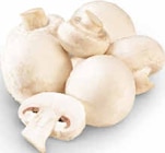 Champignons weiß im Angebot bei Netto Marken-Discount in Berlin Champignons weiß Angebote bei Netto Marken-Discount Berlin für 1,49 €