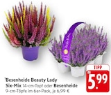 Besenheide Beauty Lady Six-Mix Angebote bei E center Rottenburg für 5,99 €