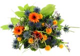 Strauß Disteln Mix mit Gerbera im Angebot bei REWE in Erlangen Strauß Disteln Mix mit Gerbera Angebote bei REWE Erlangen für 6,99 €