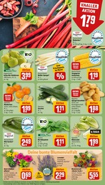 Zucchini Angebot im aktuellen REWE Prospekt auf Seite 7