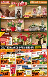 Pflanzen im Norma Prospekt in Bautzen Aktueller Norma Prospekt mit Pflanzen, "Mehr fürs Geld", Seite 12