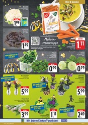 Aktueller EDEKA Prospekt mit Blumen, "Wir lieben Lebensmittel!", Seite 11