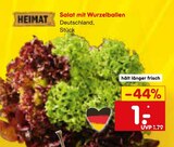 Aktuelles Salat mit Wurzelballen Angebot bei Netto Marken-Discount in Duisburg ab 1,00 €
